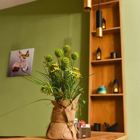 Cityscape 2br Kavaja St, 11 Fl, Dajti View Apartment Tirana
